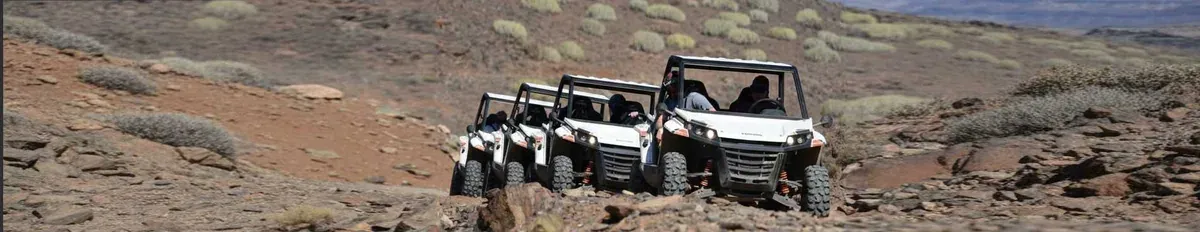 Monster Buggy offroad
